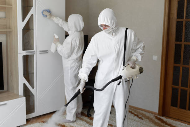 Forensic Mold Investigation in Fruitridge Pocket, CA